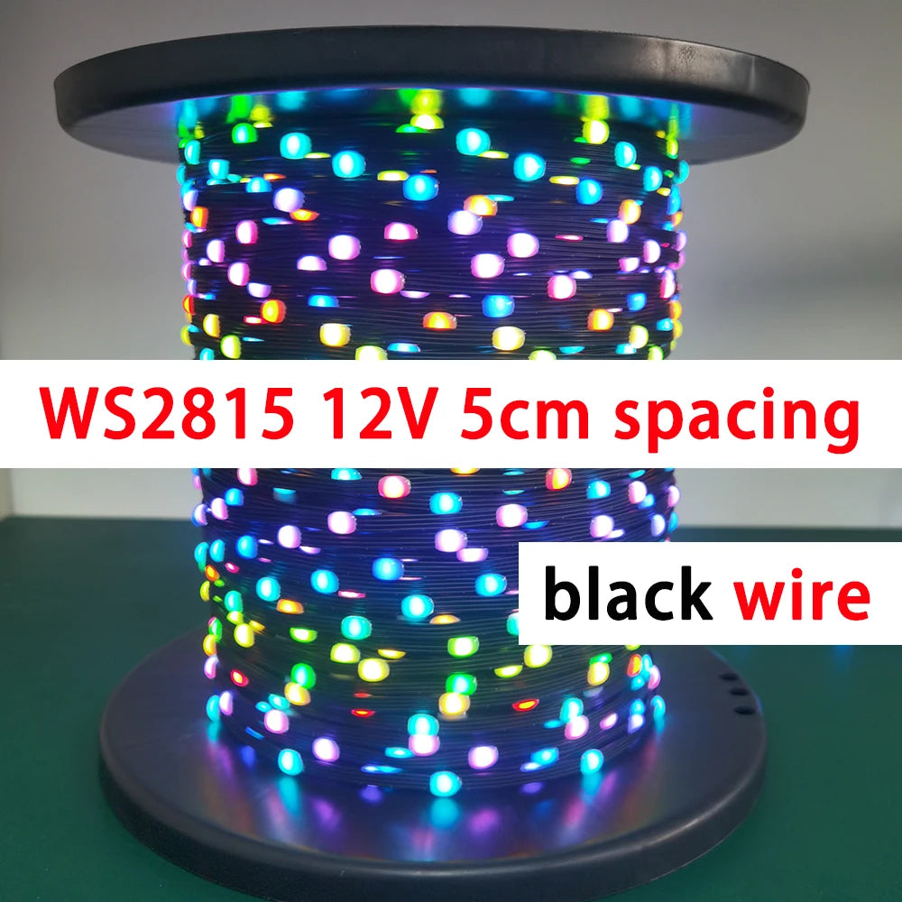 WS2815 Pebble String LEDs 10cm Transparent Wire